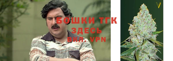 дмт Нязепетровск