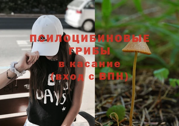 дмт Нязепетровск