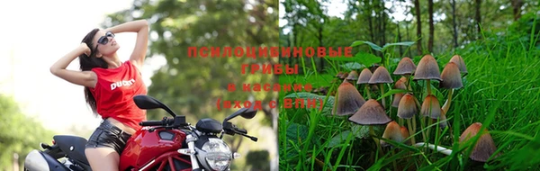 дмт Нязепетровск