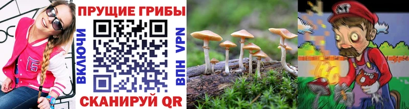 Псилоцибиновые грибы мухоморы  MEGA   Нижний Тагил 